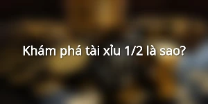Khám phá tài xỉu 1/2 là sao?