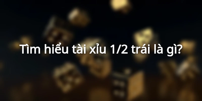 Khám phá tài xỉu 1/2 là sao?