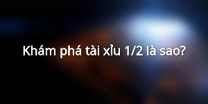 Khám phá tài xỉu 1/2 là sao?