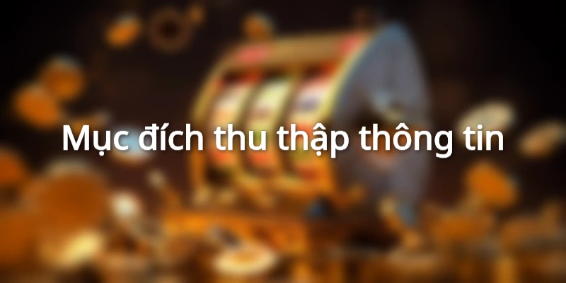 Thu thập thông tin hội viên tại 789BET