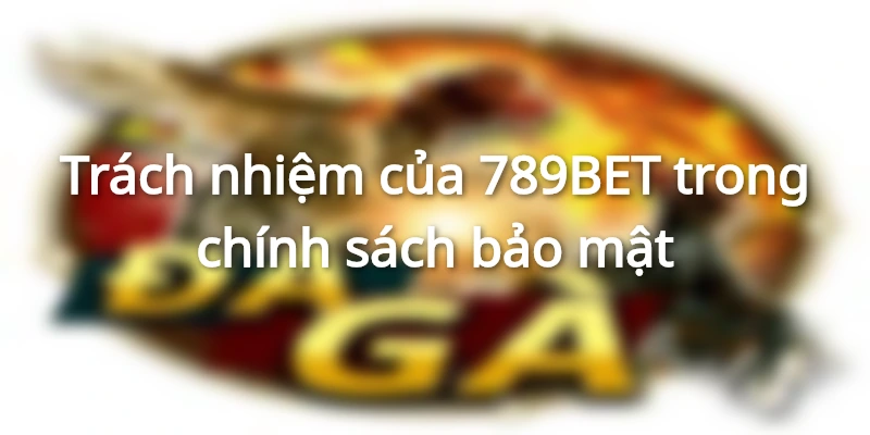 Trách nhiệm của 789BET trong chính sách bảo mật