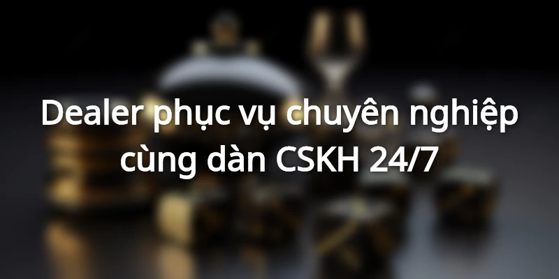 Dealer phục vụ chuyên nghiệp cùng dàn CSKH 24/7