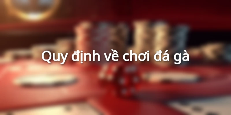 Quy định đơn giản trong đá gà